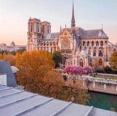 the cathedral is next to a river in paris