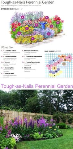 an image of a garden with flowers and plants in the center, along with text that reads tough - as - nails perennial garden