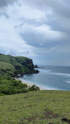 an animal standing on top of a lush green hillside next to the ocean and beach