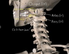 Nerves Anatomy, How To Stop Snoring, Shoulder Pain Relief, Body Joints