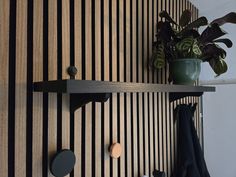 a potted plant sitting on top of a shelf next to a wall mounted coat rack