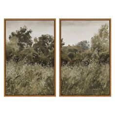 two framed pictures with trees and grass in the foreground, one has a brown frame