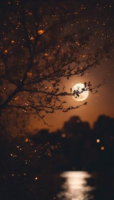 the full moon shines brightly in the night sky over water with trees and branches