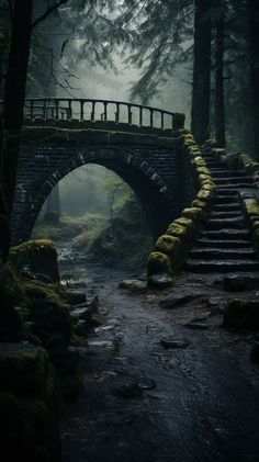 a bridge in the middle of a forest with moss growing on it's sides