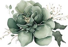 a watercolor painting of a green flower with leaves on it's petals and buds