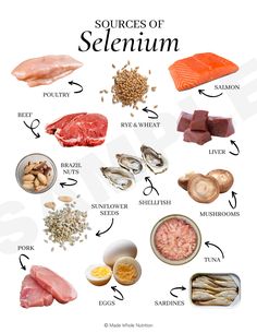 Sources Of Selenium, Functional Health, Food Health Benefits, Nutritional Therapy, Food Charts, Health Research, Holistic Nutrition, Healing Food, Nutrition Education