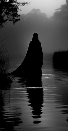 a person standing in the water with a long cloak over their head, and looking into the distance