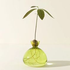 a green glass vase with a plant in it