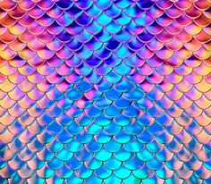 an image of colorful fish scales