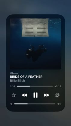 an audio player with the words birds of a featherer on it's screen