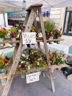 an outdoor stand with flowers and plants for sale