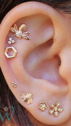 an ear with four different types of piercings on it