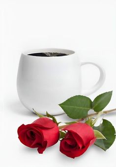 two red roses sitting next to a white cup