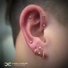 a person with ear piercings on their ears