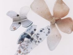 three different types of hair clips on a white background with polka dots and circles in the middle