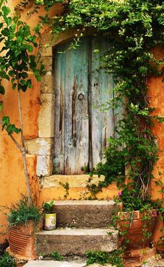 an old door is surrounded by vines and potted plants in front of the doorway