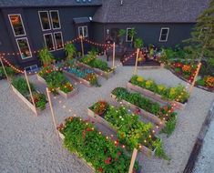 an aerial view of a garden with lots of plants and lights on the side of it