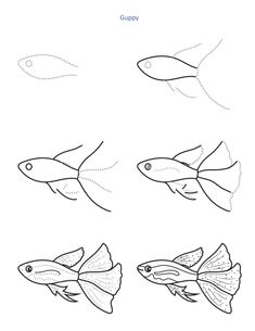 four different types of fish swimming in the water, each with their own line drawing