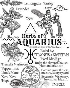 an image of the symbols for aquariush and other things in this text box