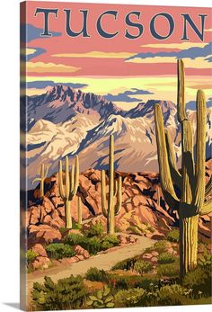 the saguaro national park poster is shown