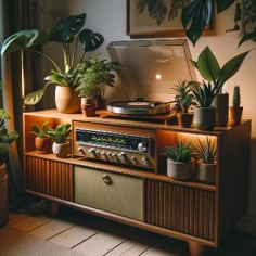 a record player sitting on top of a wooden cabinet next to plants and potted plants