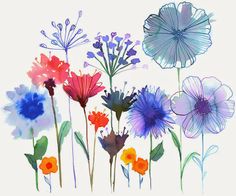 an image of flowers that are painted in watercolor on white paper and have different colors