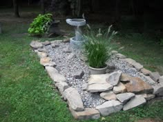 a garden with rocks, gravel and plants in the grass next to a birdbath