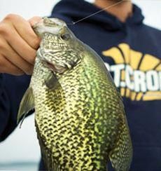 a man holding a large fish in his hands