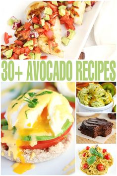 30 + avocado recipes that are delicious and easy to make with fresh ingredients