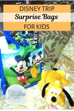 disney trip surprise bags for kids