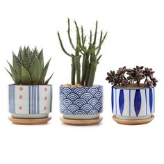 three potted plants sitting on top of each other