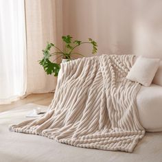 a white couch sitting next to a potted plant