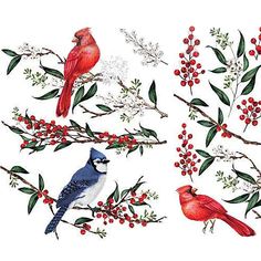 three birds sitting on branches with berries and leaves