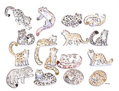 a drawing of different types of leopards and cheetah in various positions, including the letter d