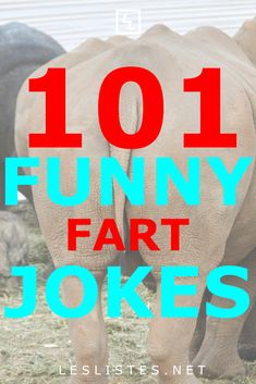 an elephant with the words 101 funny fart jokes on it's back side