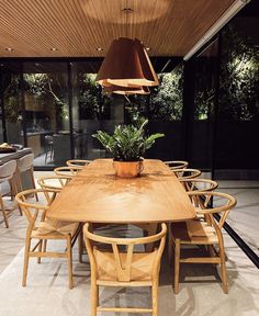 a wooden table with chairs and a potted plant