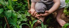 a child kneeling down in the grass with dirt on his hands and plants growing behind him