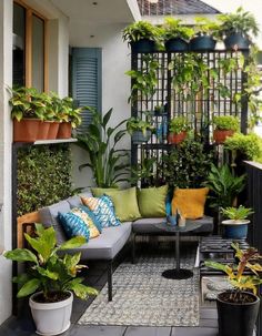 an outdoor patio with plants and potted plants