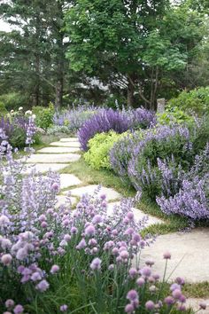 a garden with purple flowers and green trees in the background, surrounded by stone walkways