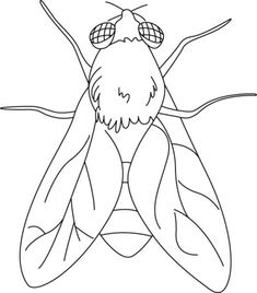 a drawing of a bee with glasses on it's face