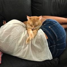 a woman laying on top of a couch with a cat sleeping on her stomach next to her