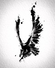 an ink drawing of a bird flying in the air