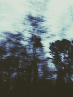 blurry photograph of trees in front of white sky with no one on the ground