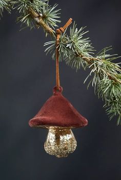 a christmas ornament hanging from a tree branch