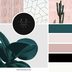 the color palette is green, pink, and black with an image of a cactus