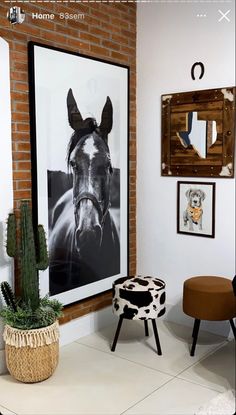 there is a horse poster hanging on the wall next to a stool and cactus plant