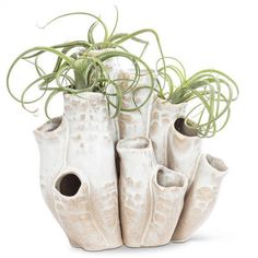 four white vases with plants in them on a white surface, one is filled with air plants