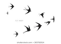 a flock of birds flying in the sky