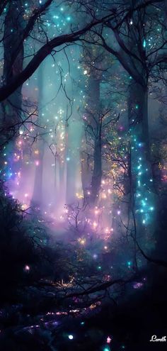 a forest filled with lots of trees covered in colorful lights and fireflies flying through the air