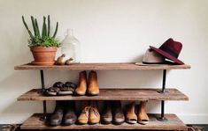 shoes are lined up on three shelves in front of a rug and potted plant